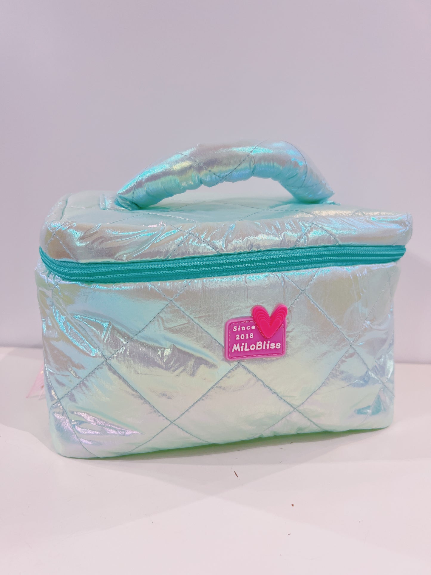 Large Glossy Cosmetic Bag