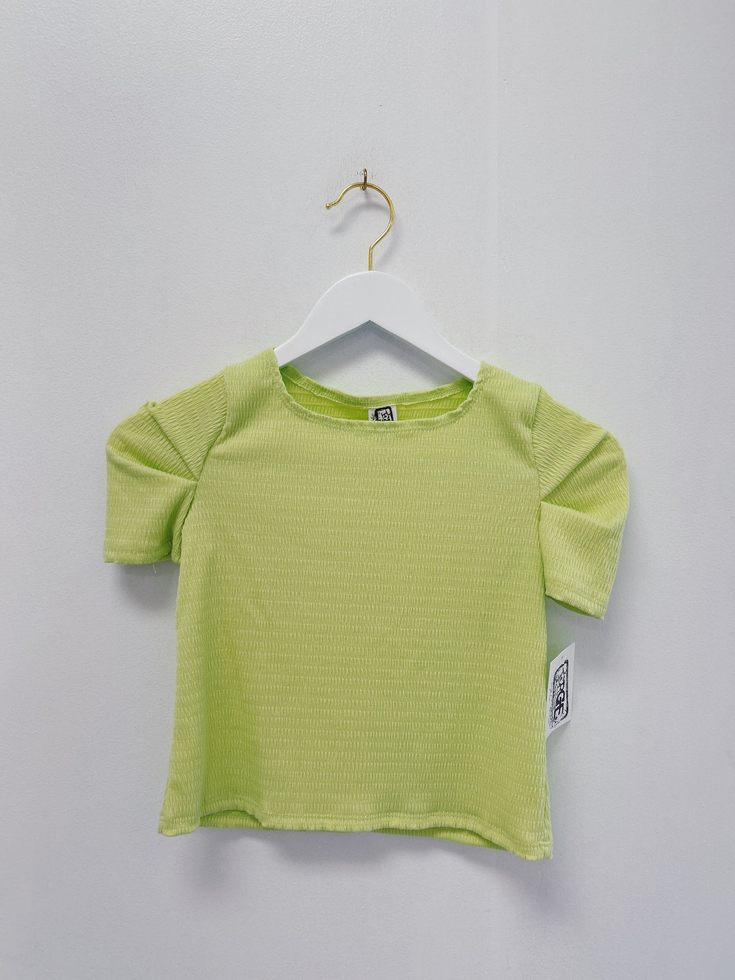 Erge Lime Smocking Knit Top