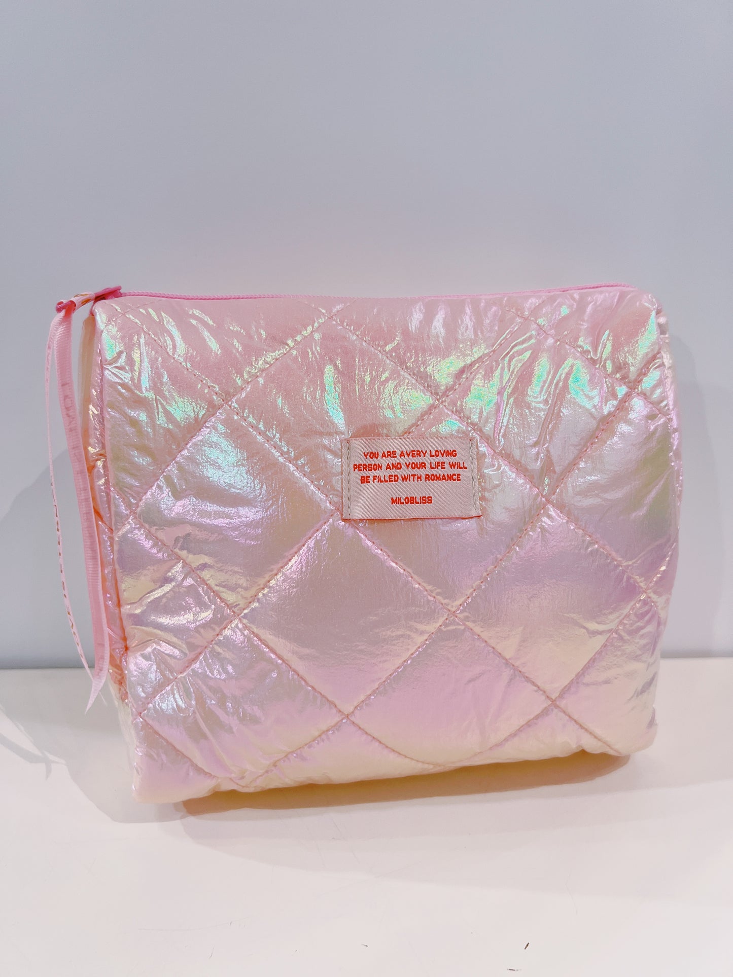 Small Glossy Cosmetic Bag