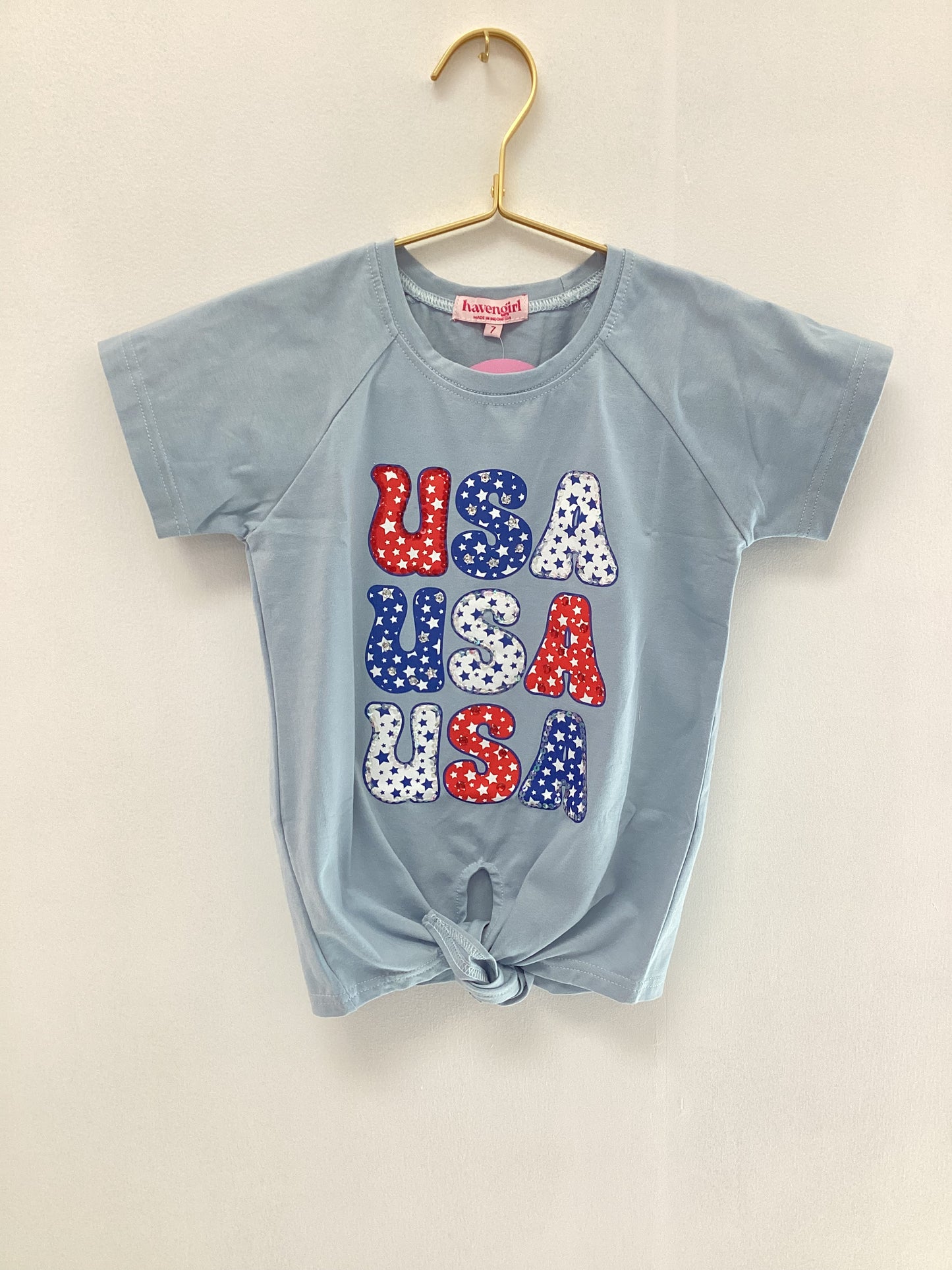 Joyous & Free Sky Blue USA Raglan