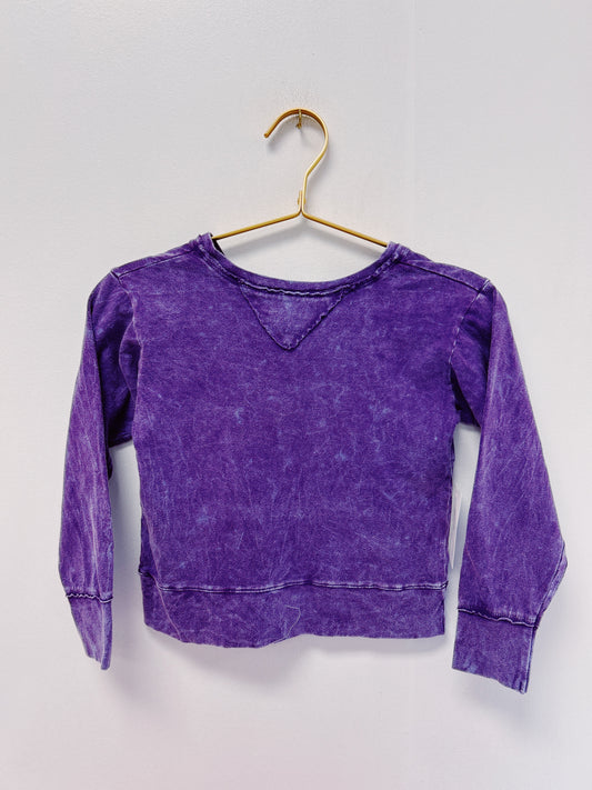 Erge Purple Vintage Washed L/S Top