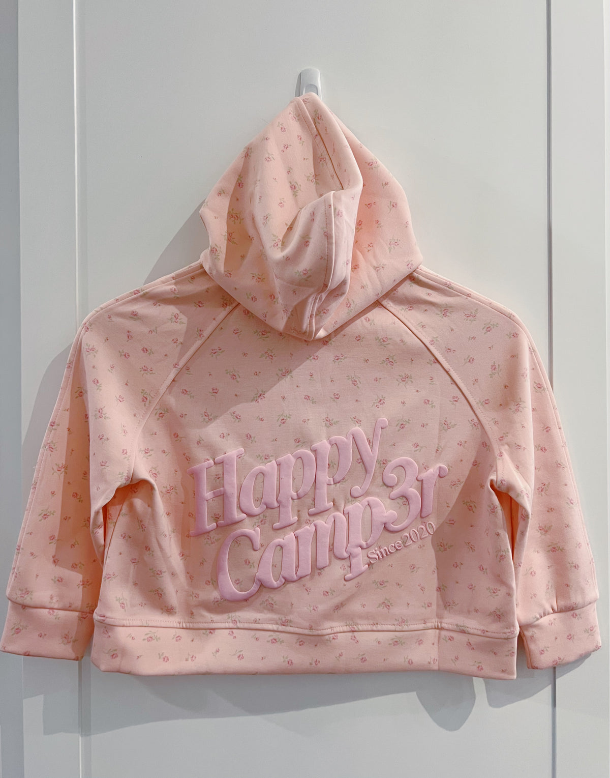 Happy Camp3r Ballet Pink Half Zip Scuba Hoodie