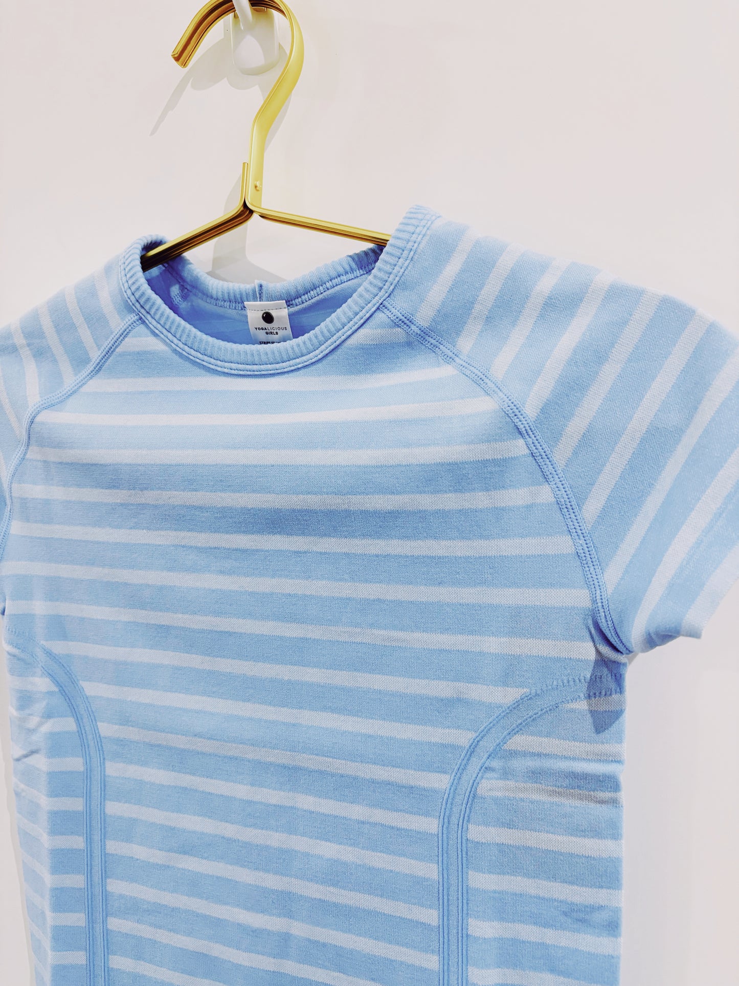 Dutch Canal Stripe Seamless S/S Top