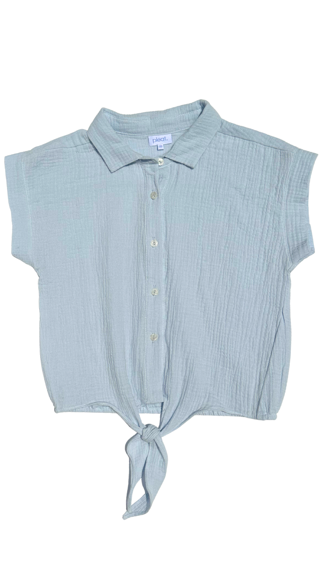 Pleat Blue Sayer Top