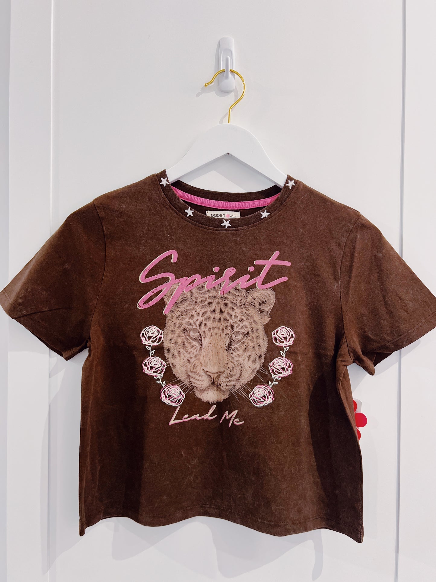 PF Brown Spirit Lead Me Tee